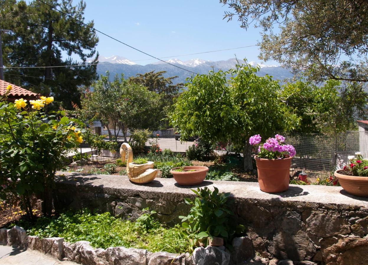 Villa Eternity Alikampos Esterno foto